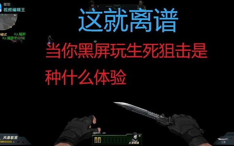 生死狙击为什么黑屏[图2]