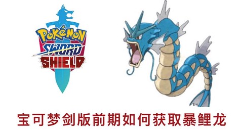 宝可梦剑版带什么宝可梦[图1]