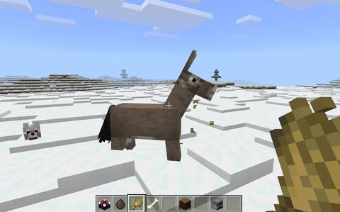 我的世界驴怎么驯服[图1]