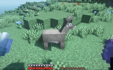 我的世界驴怎么驯服[图2]