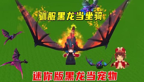 迷你世界怎么服黑龙蛋[图1]