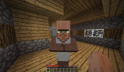 我的世界村长长什么样[图2]