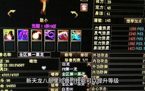 天龙八部怎么获得珍兽[图1]