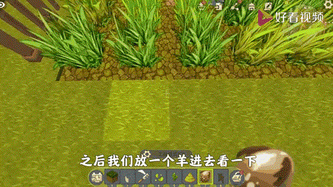 迷你世界血量怎么恢复[图1]