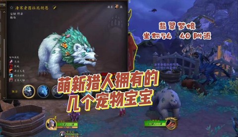 魔兽世界猎人前期带什么宝宝[图1]