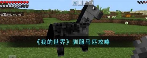 我的世界马怎么下来[图1]