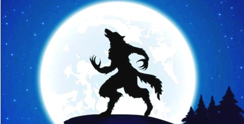 狼人杀金水银水铜水是什么意思[图2]