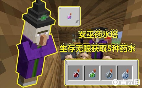 我的世界怎么驯服女巫[图1]
