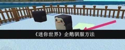 迷你世界怎么找企鹅[图2]